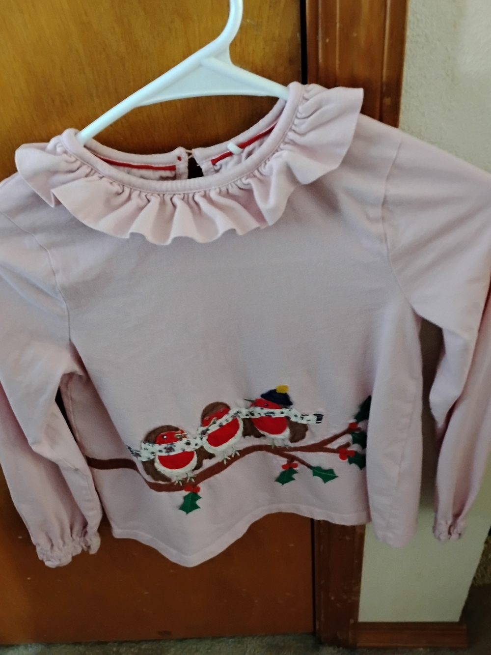 Mini Boden Light Pink Ruffle-Neck Long Sleeve Top with Robin Trio